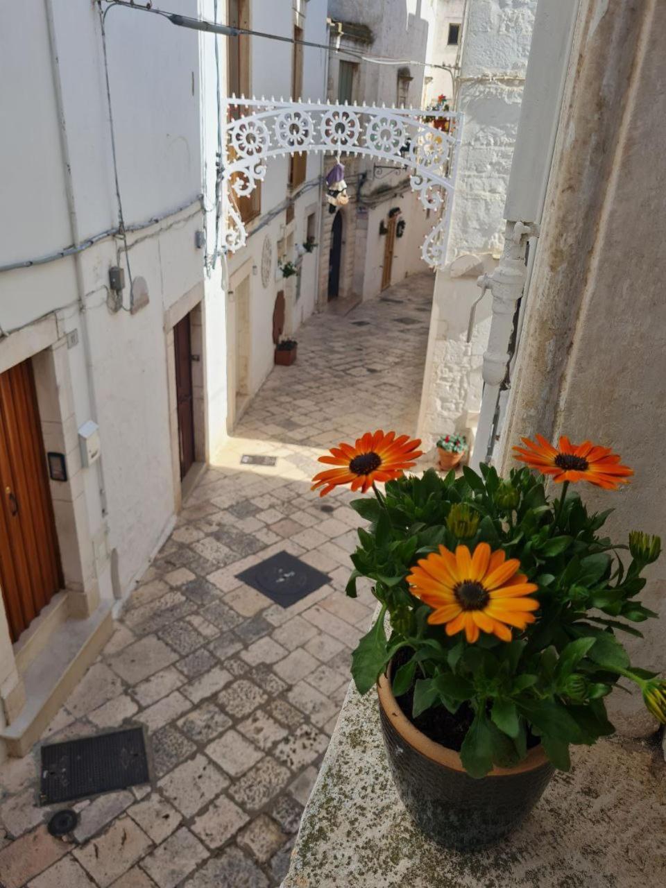 La Dimora Nel Borgo Βίλα Locorotondo Εξωτερικό φωτογραφία